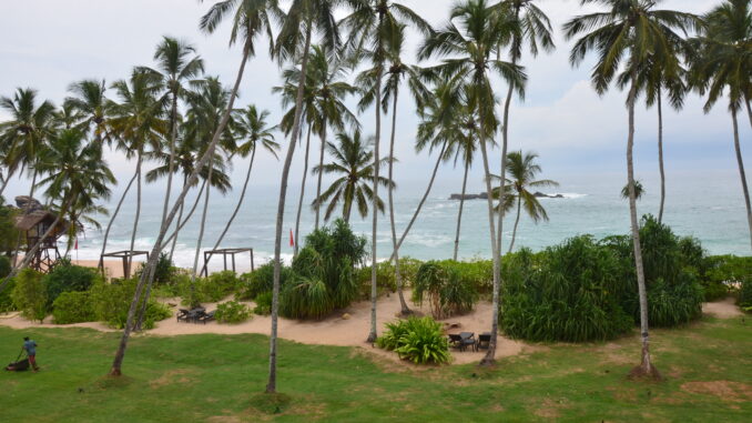 Пляжи на Шри Ланке Велигама