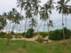 Пляжи на Шри Ланке Велигама